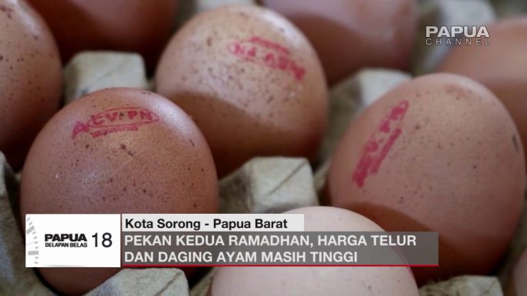 PEKAN KEDUA RAMADHAN, HARGA TELUR DAN DAGING AYAM MASIH TINGGI