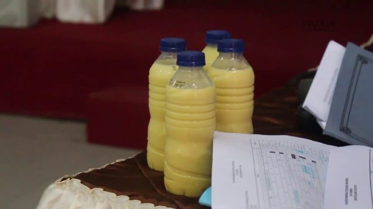 PROJEK SUSU JAGUNG MOTIVASI PESERTA DIDIK TENTANG GIZI