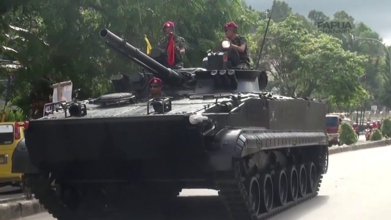 SOSIALISASI KESATUAN BARU, TNI ANGKATAN LAUT GELAR PARADE KOTA