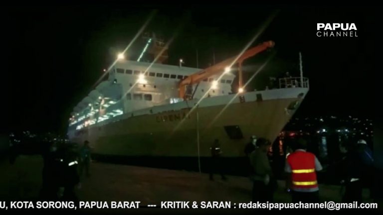 41 KONTAINER BAPOK TIBA DI PELABUHAN JAYAPURA