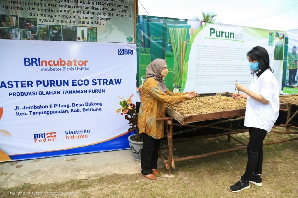 SULAP RUMPUT MENJADI SEDOTAN, NASABAH BINAAN BRI INI JADI PAHLAWAN LINGKUNGAN DAN MASYARAKAT