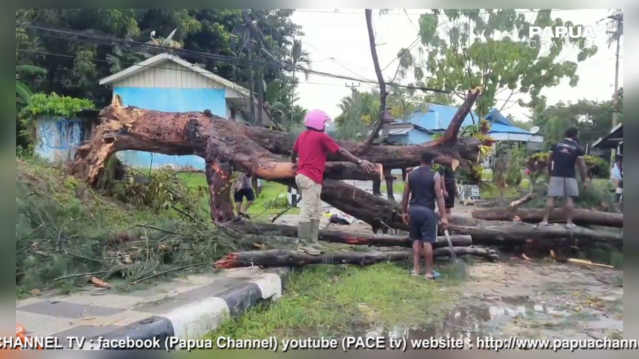 KOTA SORONG DILANDA HUJAN BADAI, KENDARAAN DAN RUMAH WARGA RUSAK TERTIMPA POHON