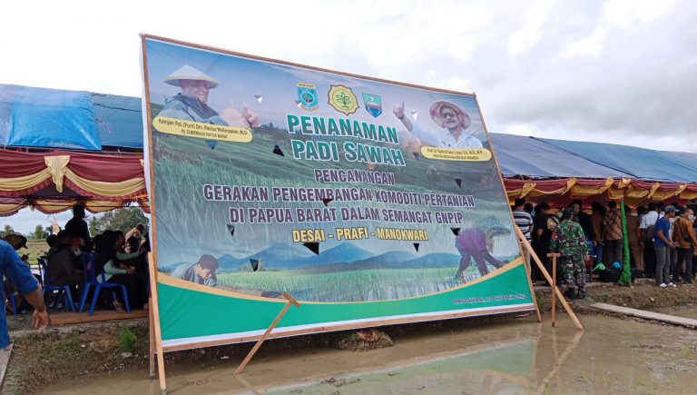 Akselerasi Pertanian Indonesia, Mentan SYL Tanam Padi Di Papua Barat