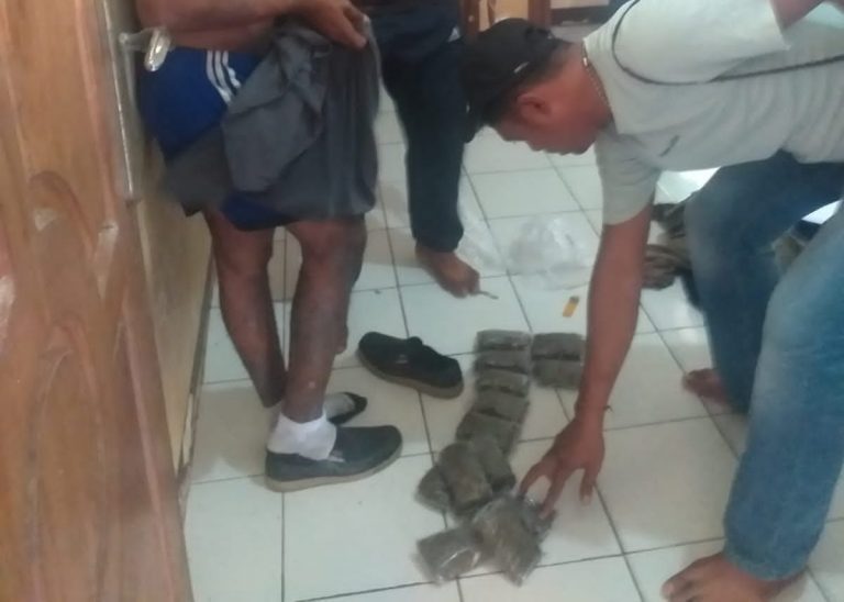 Bawa 13 Paket Ganja Polisi Ringkus Seorang Pria di Batas Negara